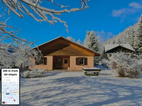 Lussuoso Chalet in centro a 4 min a piedi dalle piste da sci